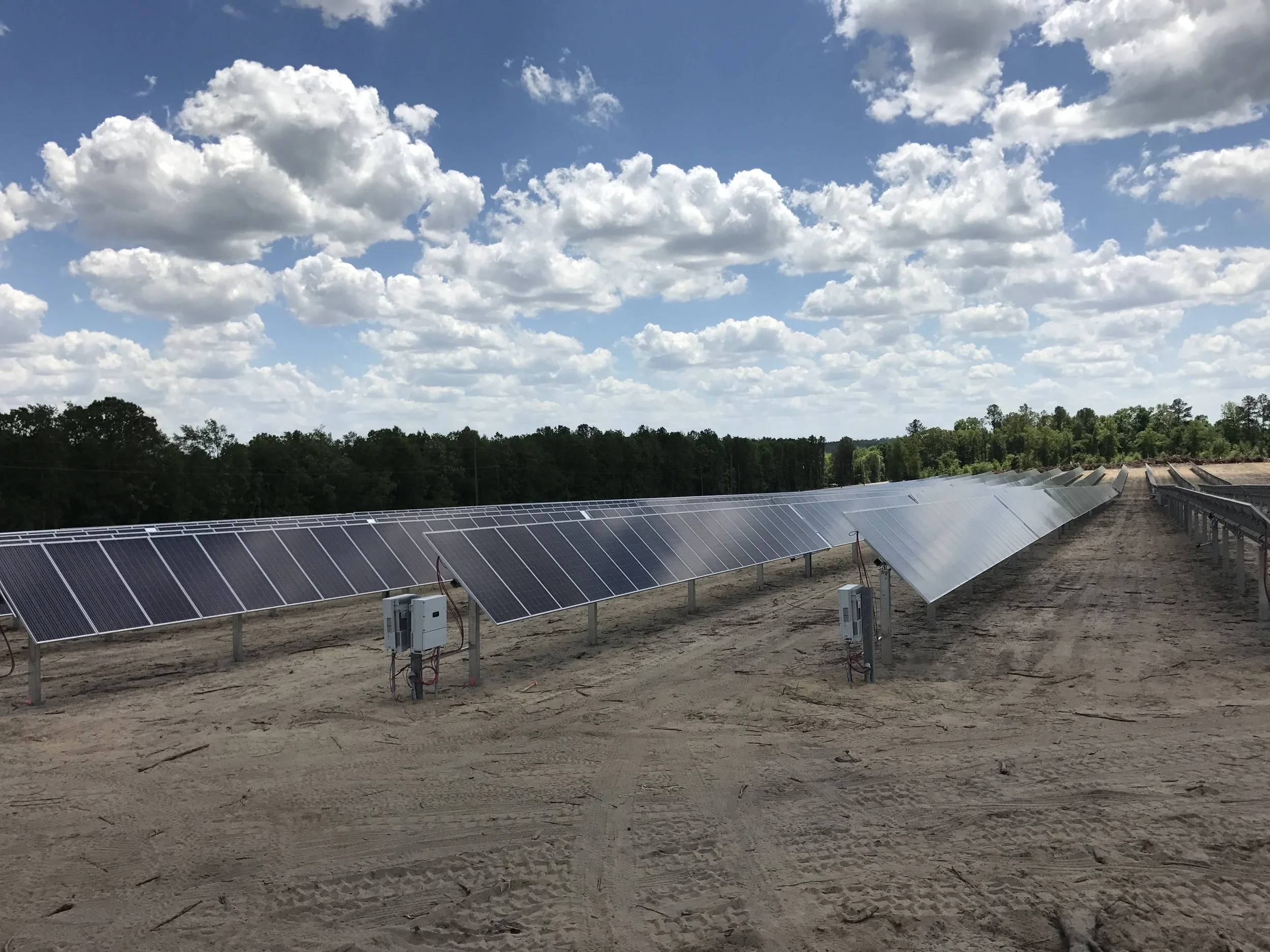 Taylor Jackson, Founder of Finial Solar
